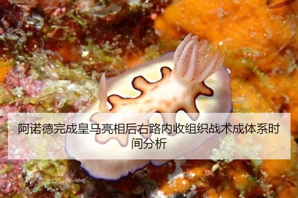 阿诺德完成皇马亮相后右路内收组织战术成体系时间分析